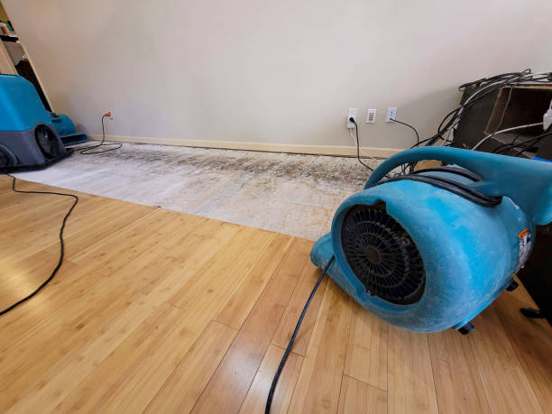 Professional Sewage Cleanup technician working in Cedar Glen, CA